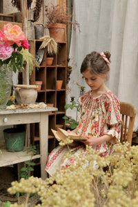 Jacqueline butterfly dress
