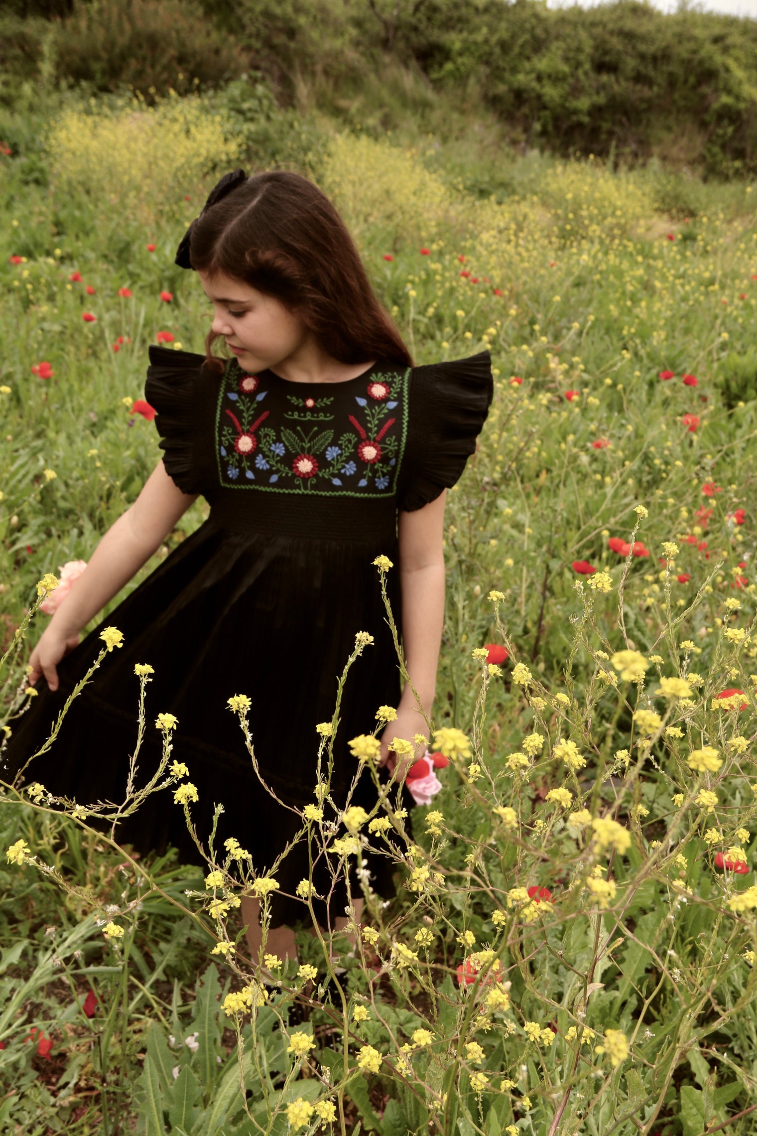 Black pleated taffeta embroidered dress